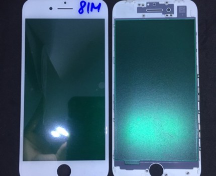 Kính Liền Ron Iphone 8G ( Trắng )
