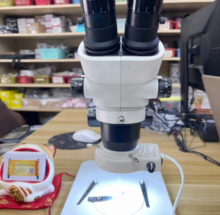 Kính Hiển Vi SZ61 - Thị Đ/C Copy WHSZ10X-H/22 